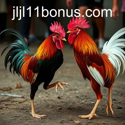 Cockfighting: Understanding the Underworld of Sport and Tradition